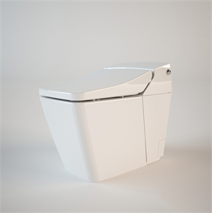 American Standard Acacia Toilet